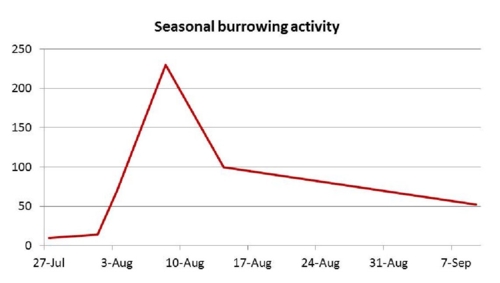Graph: Cicada Killer Burrowing Activity
