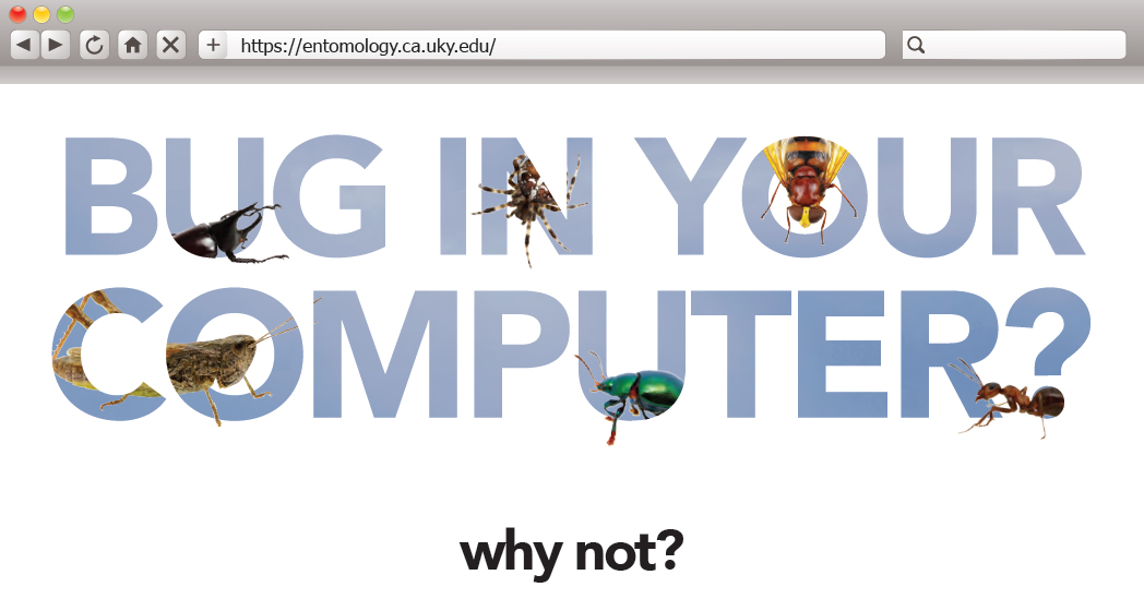 Bug in your computer? Why not?