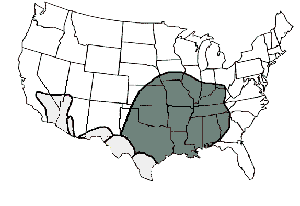 Distributionen av den bruna enstöringen i USA