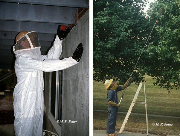 Protective clothing is advisable when treating wasp and hornet nests.