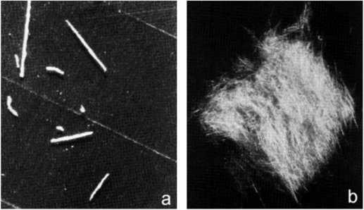 Tiny Fragments that May Cause Iritation Tiny Fragments that May Cause Iritation