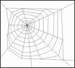 Typical Orb Web