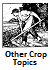 Other Crops
