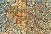 Clothes Moth Damage Clothes Moth Damage