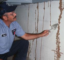 Termite Mud Tubes Termite Mud Tubes