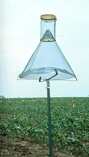 Texas Pheromone Trap Texas Pheromone Trap