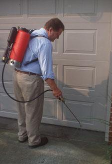 Perimeter Treatment for Ants Perimeter Treatment for Ants