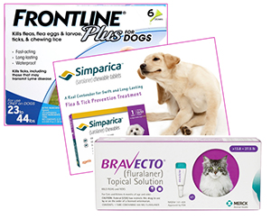 Several effective products are available for preventing and eliminating fleas on pets