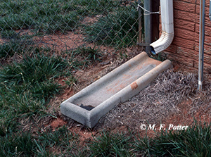 Divert water away from foundations. Downspout splash blocks are helpful, but this one is facing in the wrong direction.