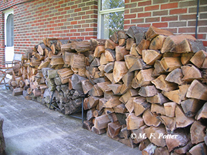 Don’t stack wood against the side of a building.