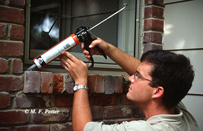 Sealing entry points can help reduce entry of ants and other pests