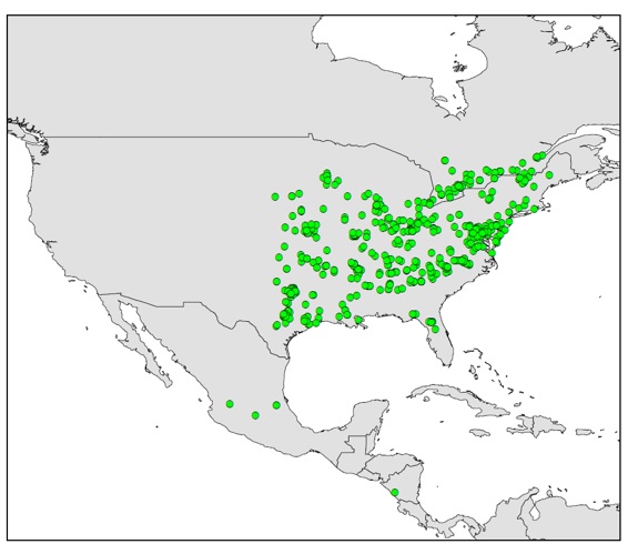 Distribution of the red cocklebur weevil. 