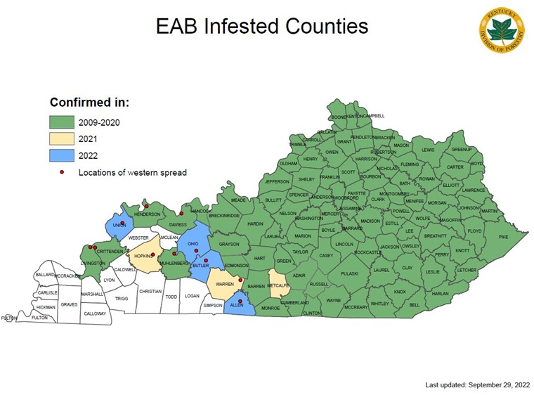 Map of emerald ash borer in Kentucky, 2022 