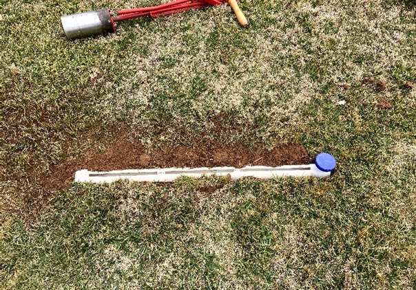 Figure 4: Linear pitfall traps constructed from PVC pipe, can help to monitor for the movement of overwintering adults in the spring. Photo by Kenneth Clayton. 