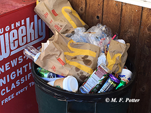 Outdoor waste receptacles are very attractive to late-season yellowjackets.