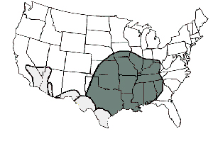 Distribution of the brown recluse spider (dark shading) and other species of Loxosceles spiders in the U.S. (light shading) 