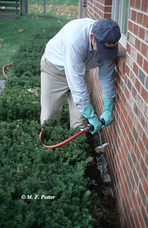 Termite Bait Stations Vs. Liquid Treatment