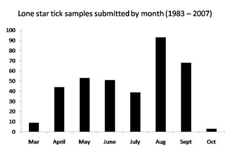 Lone Star Tick Seasonal Activity