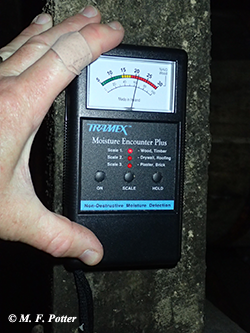 Moisture meters are useful for assessing beetle-conducive conditions