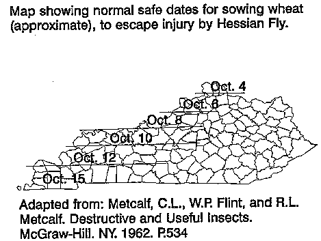 Hessian Fly in Kentucky Map