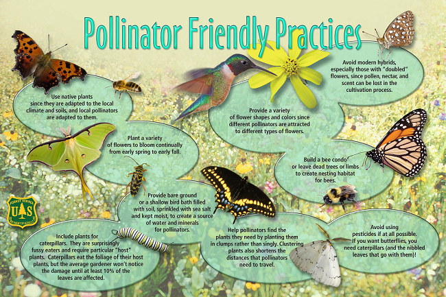 Pollinator Practices