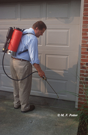 Insecticide sprays can often help deter spiders and other pests from entering homes.