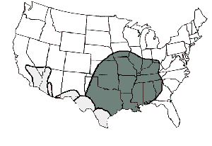 La distribución de la reclusa marrón en los Estados Unidos
