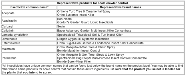 options for scale insect crawler control. 