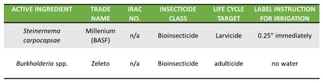 Table 3: There are also bioinsecticide options labelled for annual bluegrass weevil management.  