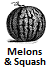  Melon/Squash Pests
