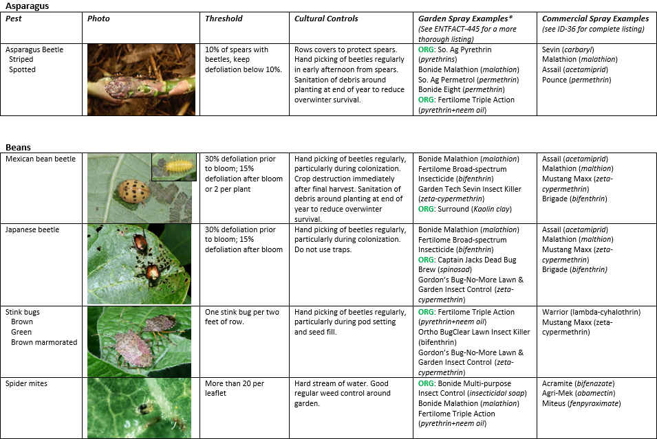 Vegetable Production Recommendations