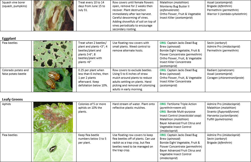 Vegetable Production Recommendations