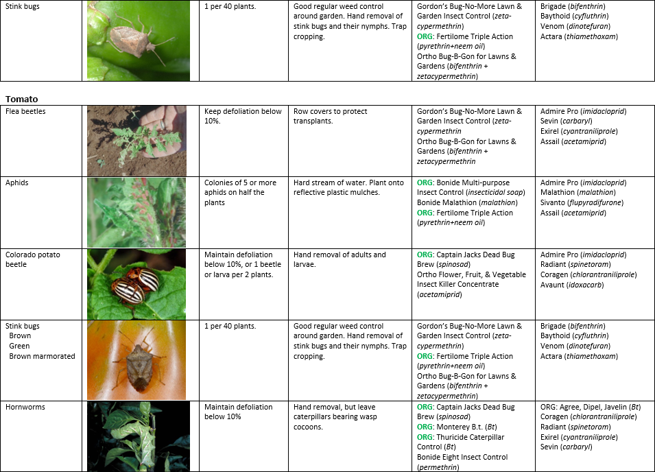 Vegetable Production Recommendations