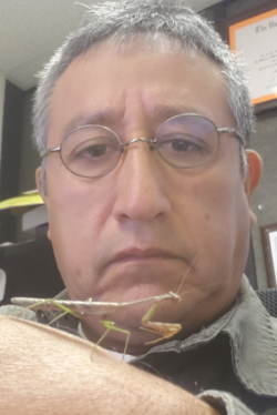 Villanueva Villanueva